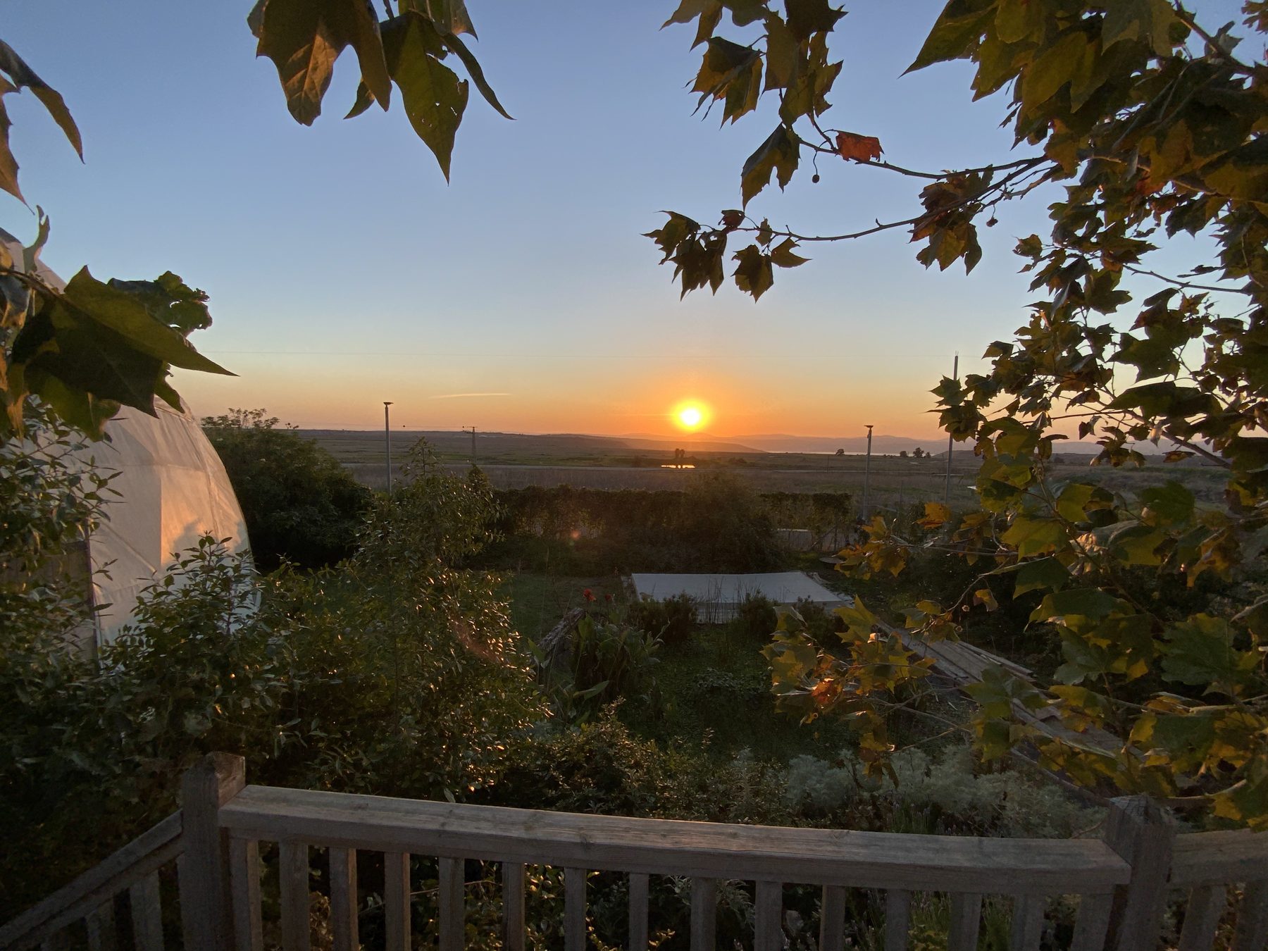 Sunset seen from the farm in Natur, framed by the leaves above the porch