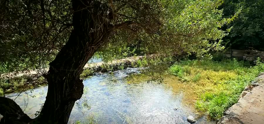צילום קולנועי של אותו נחל
