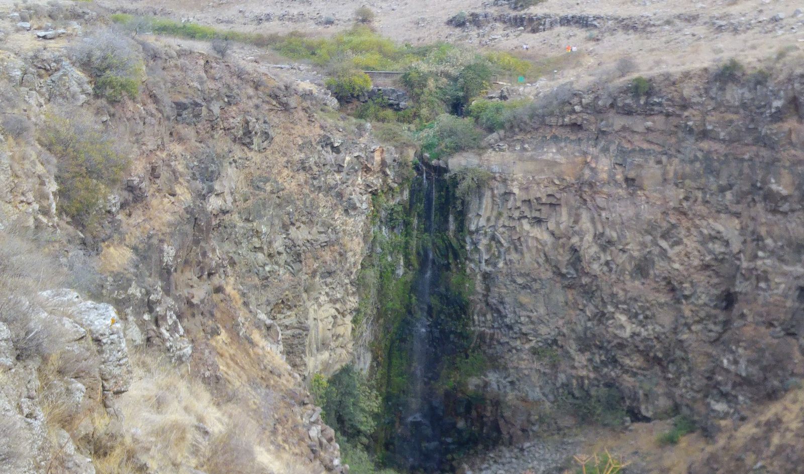 Gamla Nature Reserve