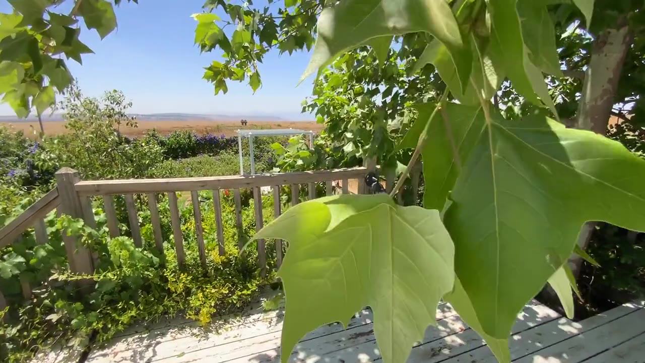 The view from the farm garden in Natur, looking over the open fields of the southern Golan.